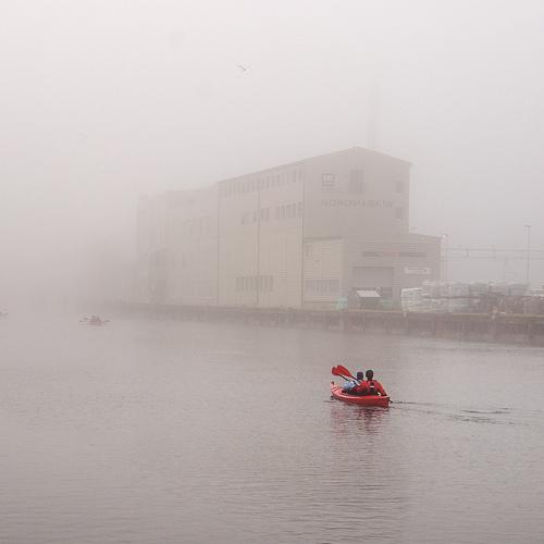 Photo #4645159