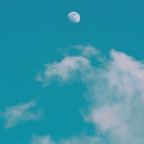 Photo #4645268