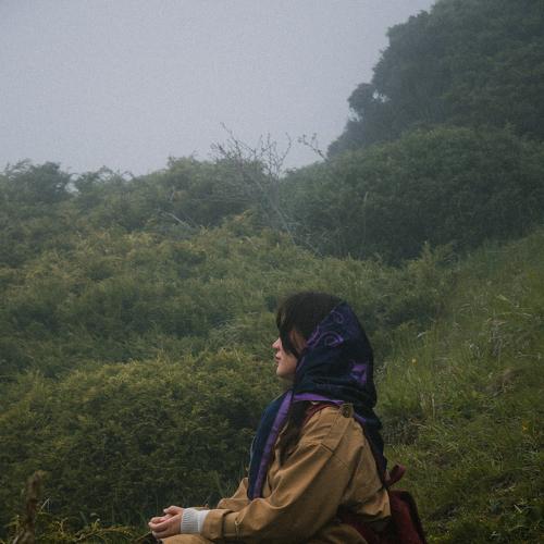 Photo #4645368