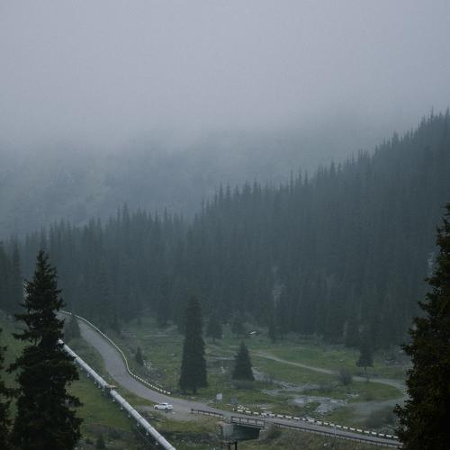 Photo #4645382