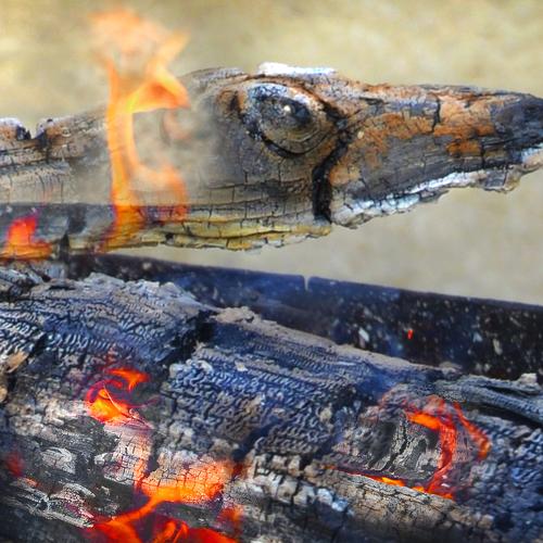 Photo #4645547