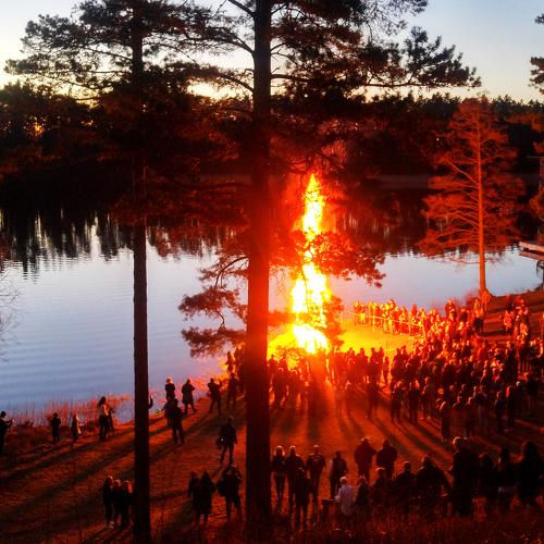 Photo #4645854