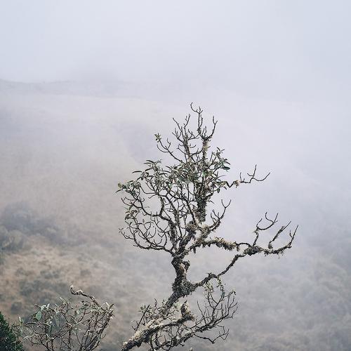 Solitude