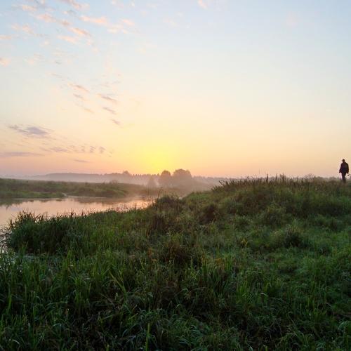 Photo #4646084