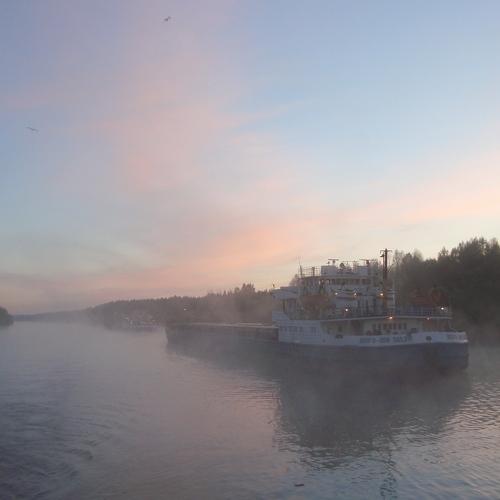 Photo #4646085