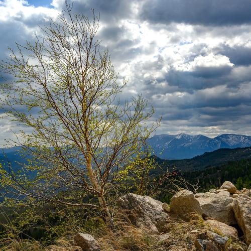 Photo #4646254