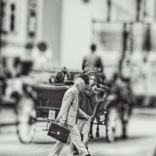 Photo #4646600
