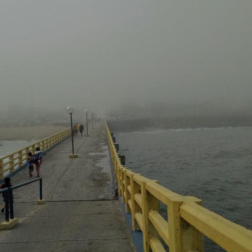 Photo #4646710