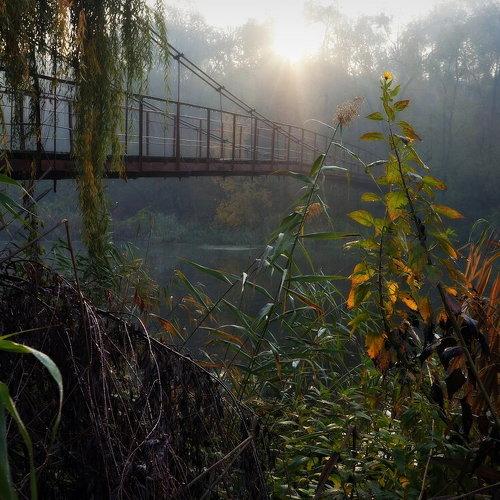 Photo #4646717