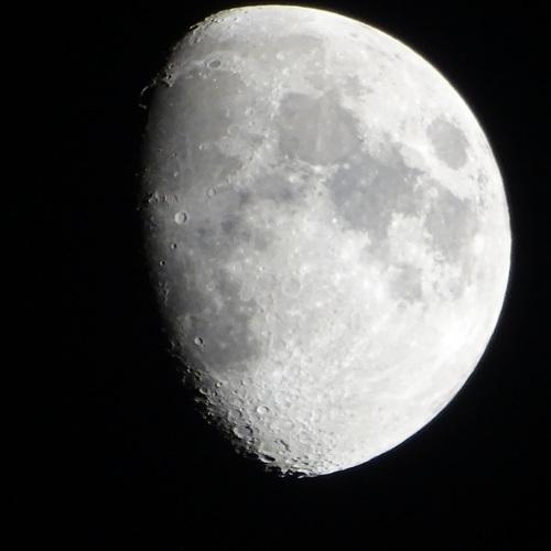 Photo #4646912