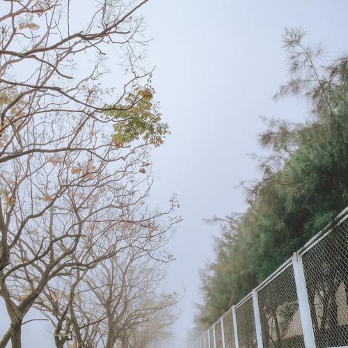 Photo #4646915