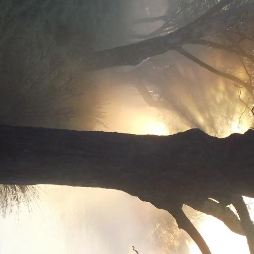 Photo #4647128