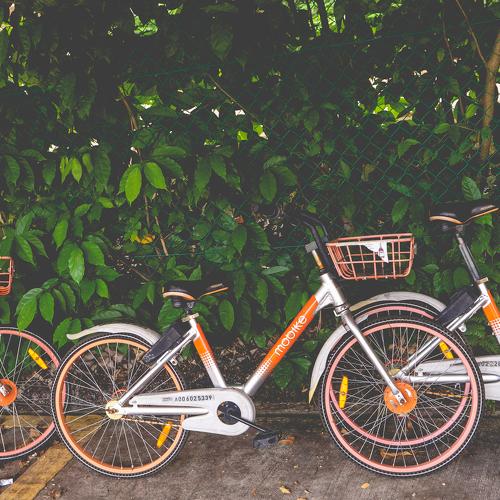 Photo #4647143
