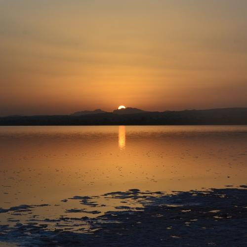 Photo #4647298