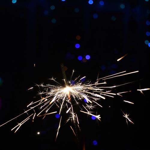Photo #4647323