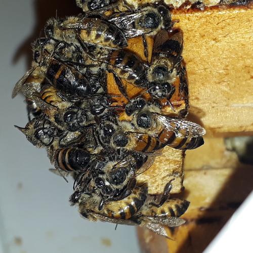 Photo #4647466