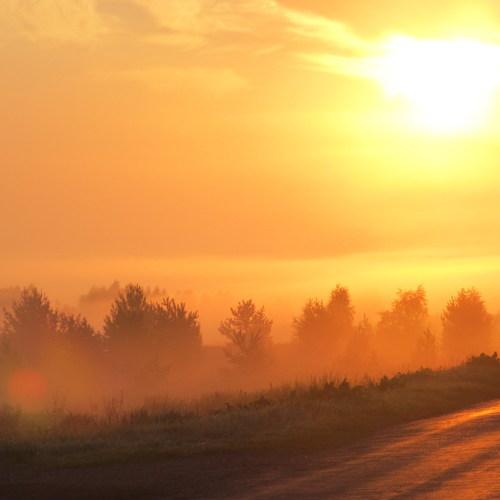 Photo #4647578