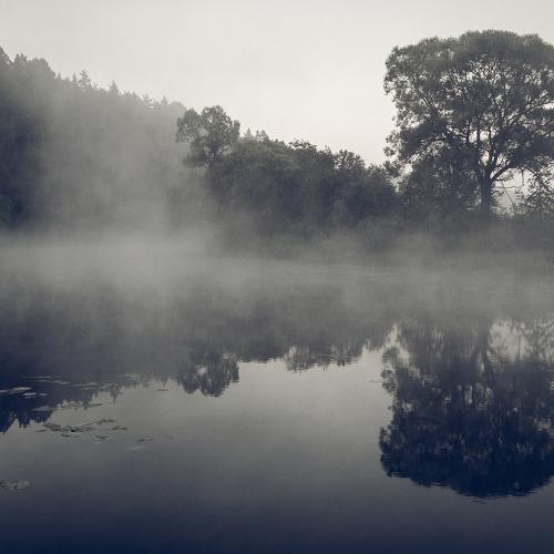 Photo #4647633