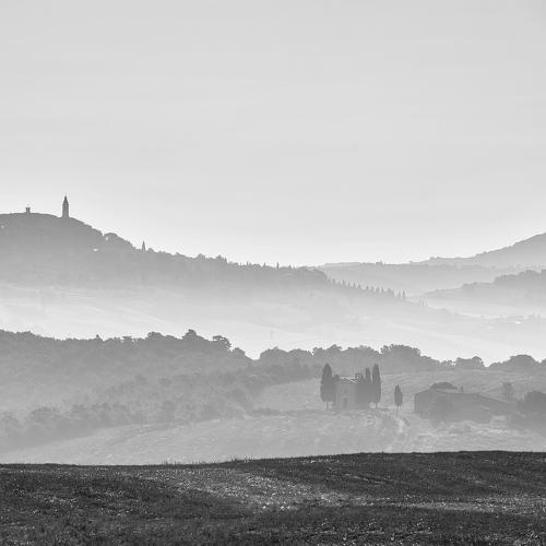 Photo #4647634