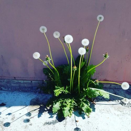 Photo #4647712