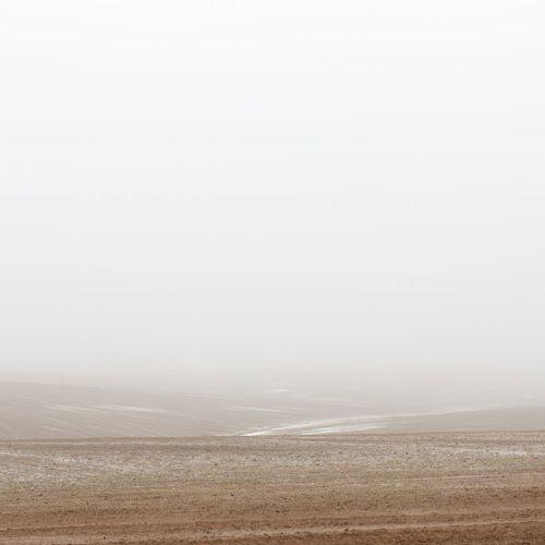 Photo #4647846