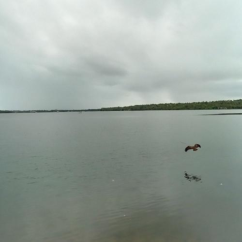 Photo #4648045