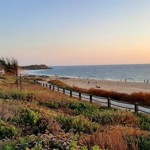 Photo #4648350
