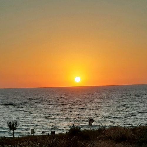Photo #4648360