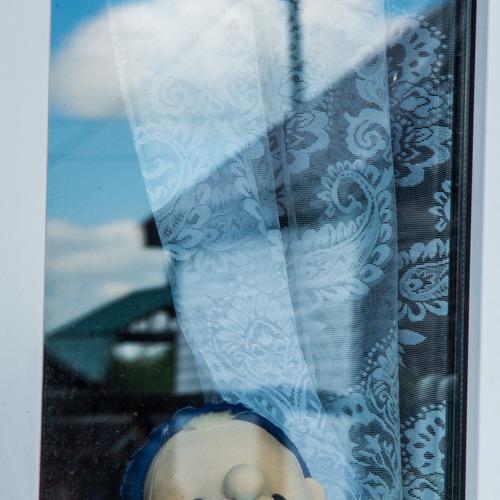 Photo #4648541