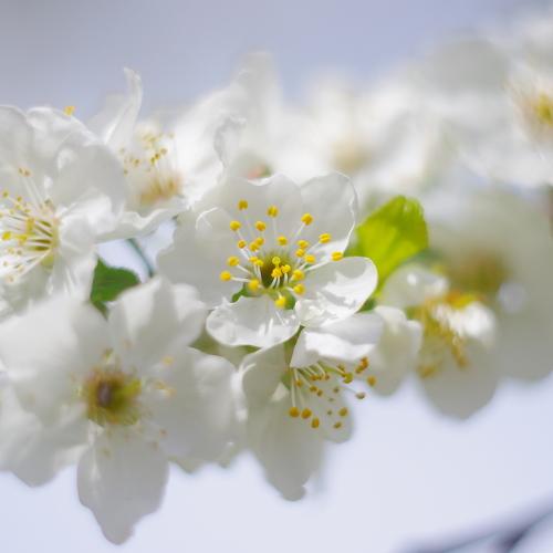 Photo #4648863