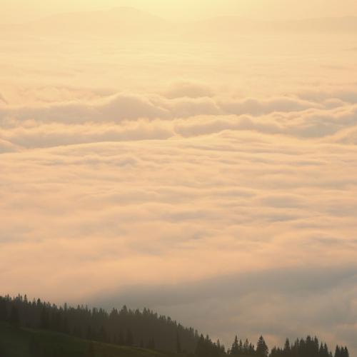Photo #4648919