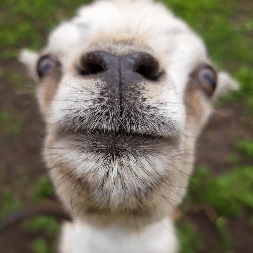 Photo #4649112