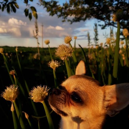 Photo #4649116