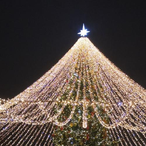 Photo #4649136