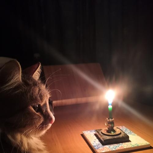 Photo #4649153