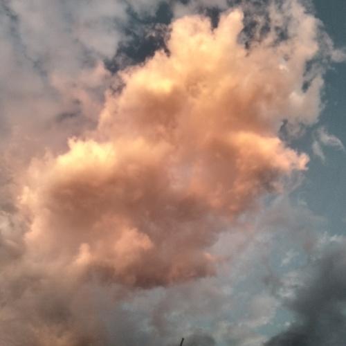 Photo #4649180