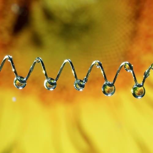 Metal spring