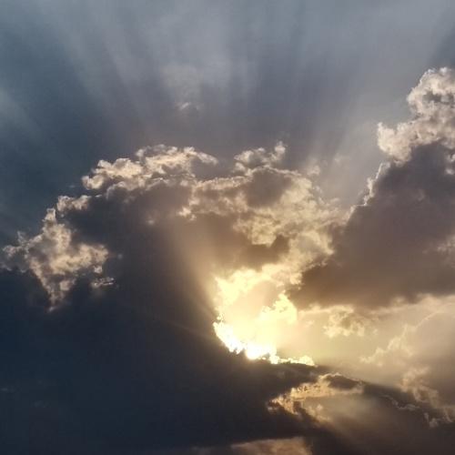 Photo #4649202