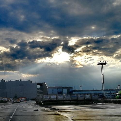 Photo #4649347
