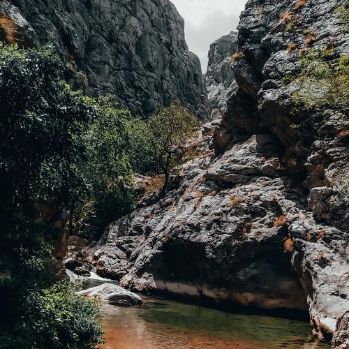 Photo #4649492