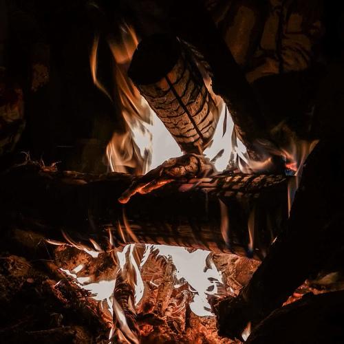 Photo #4649661