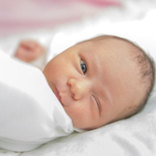 Photo #4649677