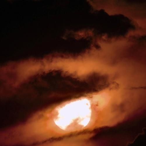 Photo #4649678