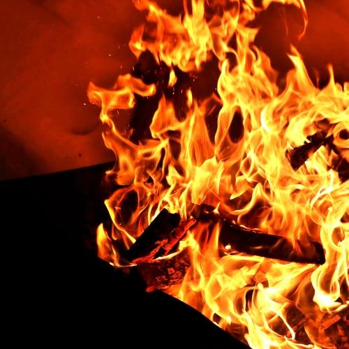 Фотография #4649704