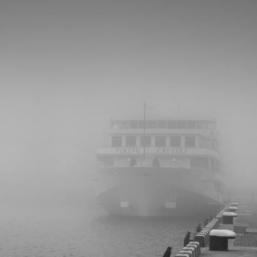 Во мгле...