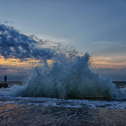 Photo #4649858