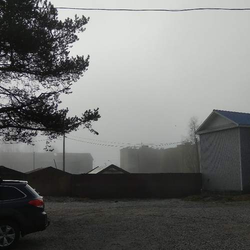 Photo #4650101
