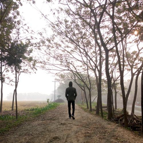 Photo #4650117