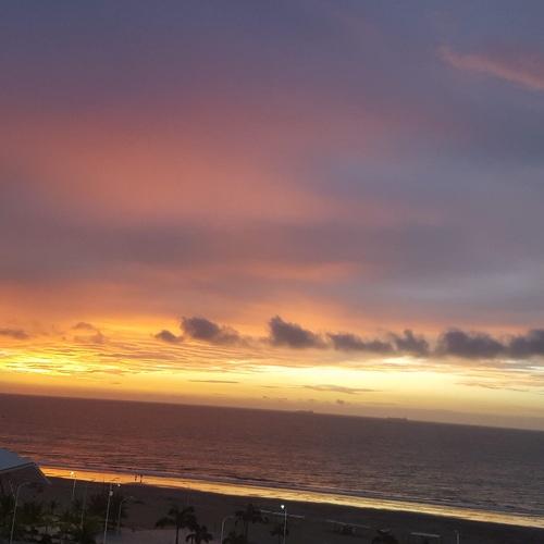 Photo #4650467