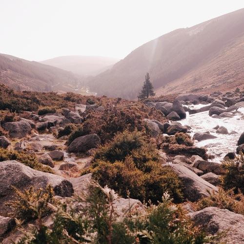 Photo #4650498